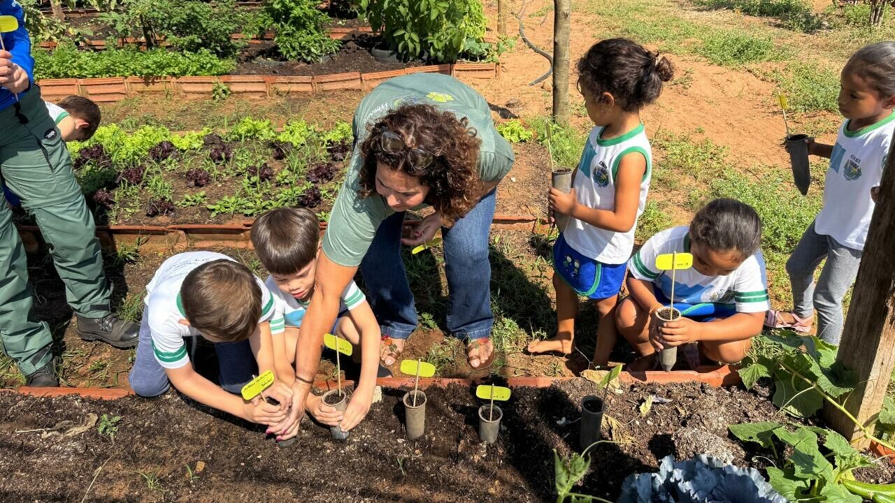 Imagem de compartilhamento para o artigo Alcinópolis celebra Dia Nacional do Cerrado com ações educativas nas escolas da MS Todo dia